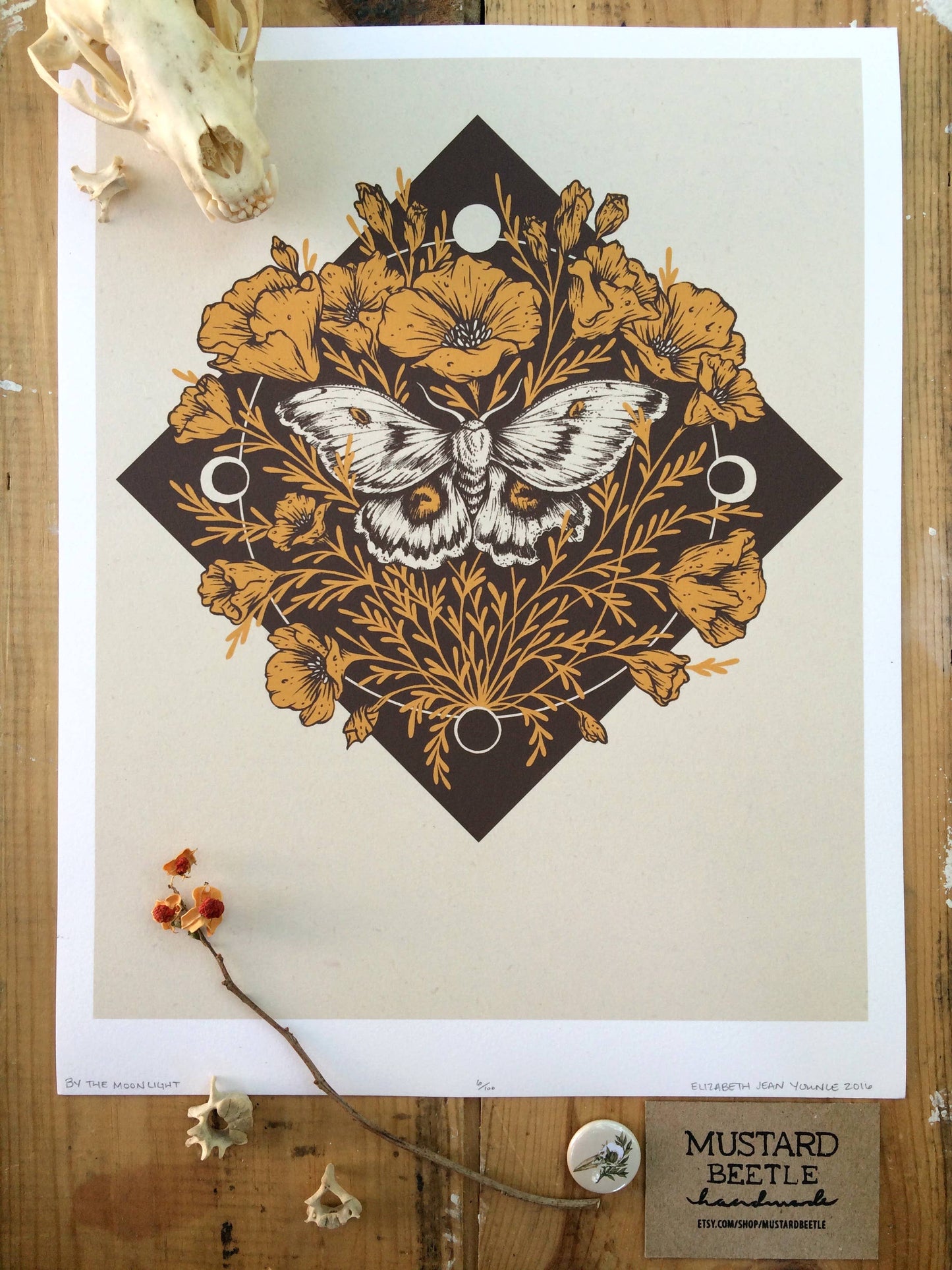 Moth & Poppies, Moon Phases, Giclee Print 11x14"