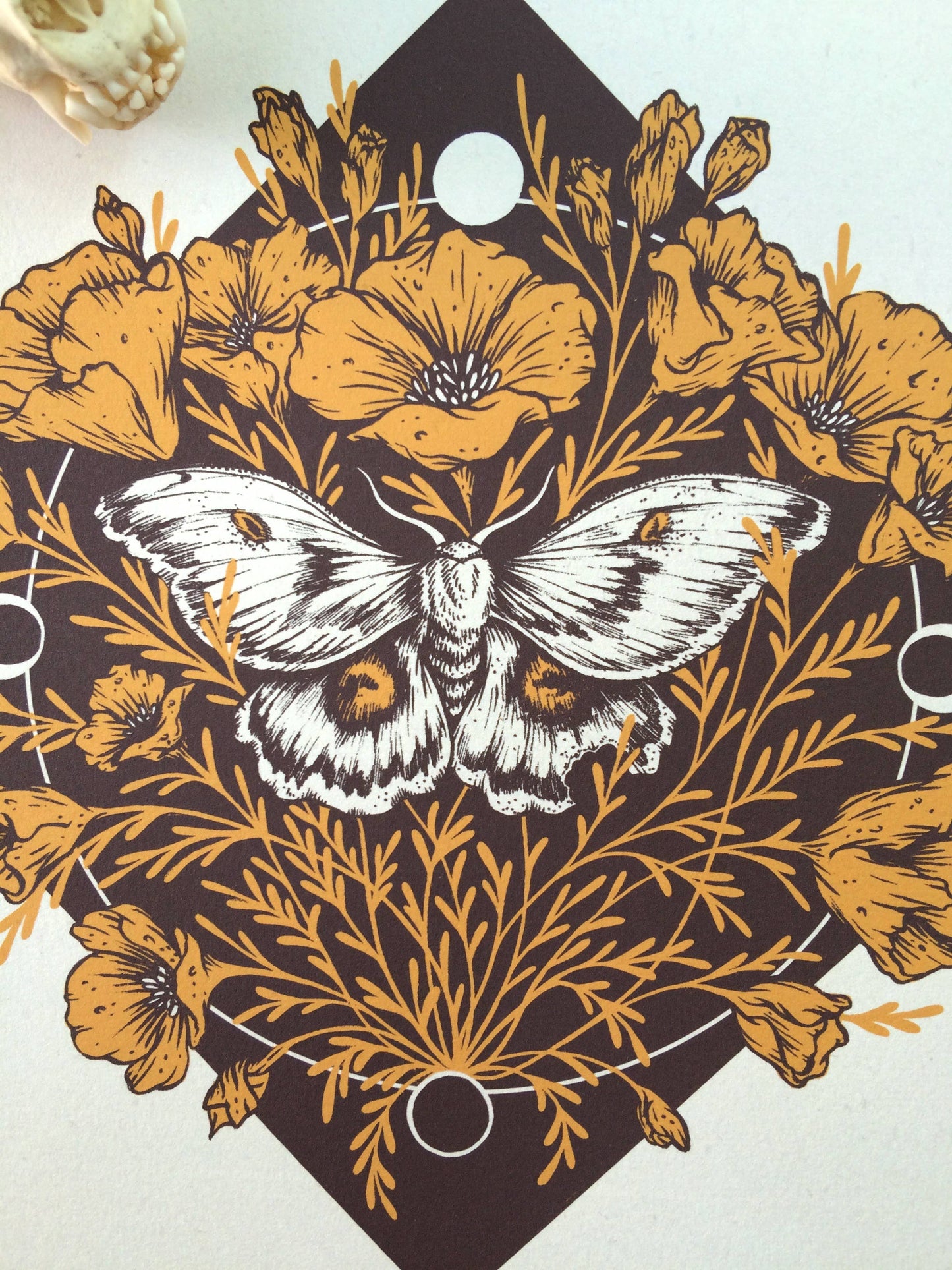 Moth & Poppies, Moon Phases, Giclee Print 11x14"