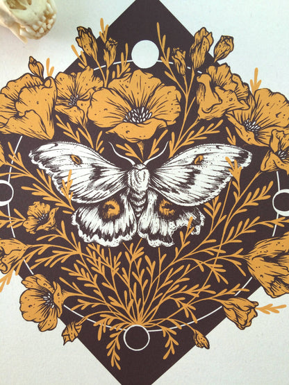 Moth & Poppies, Moon Phases, Giclee Print 11x14"