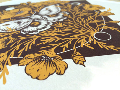 Moth & Poppies, Moon Phases, Giclee Print 11x14"