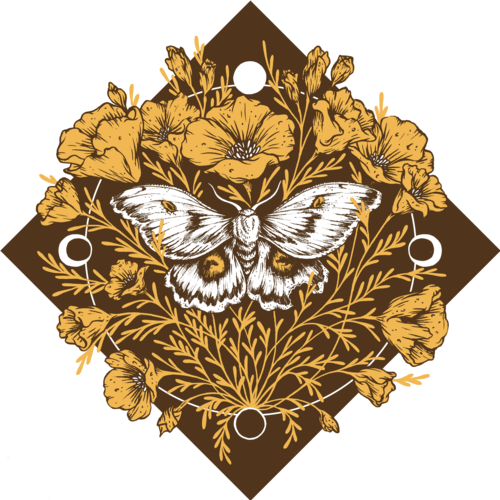 Moth & Poppies, Moon Phases, Giclee Print 11x14"